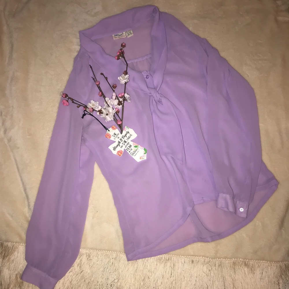 Amy Barr Lavender Sheer Top